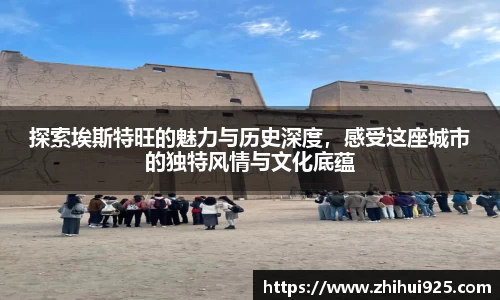 智博19有限公司
